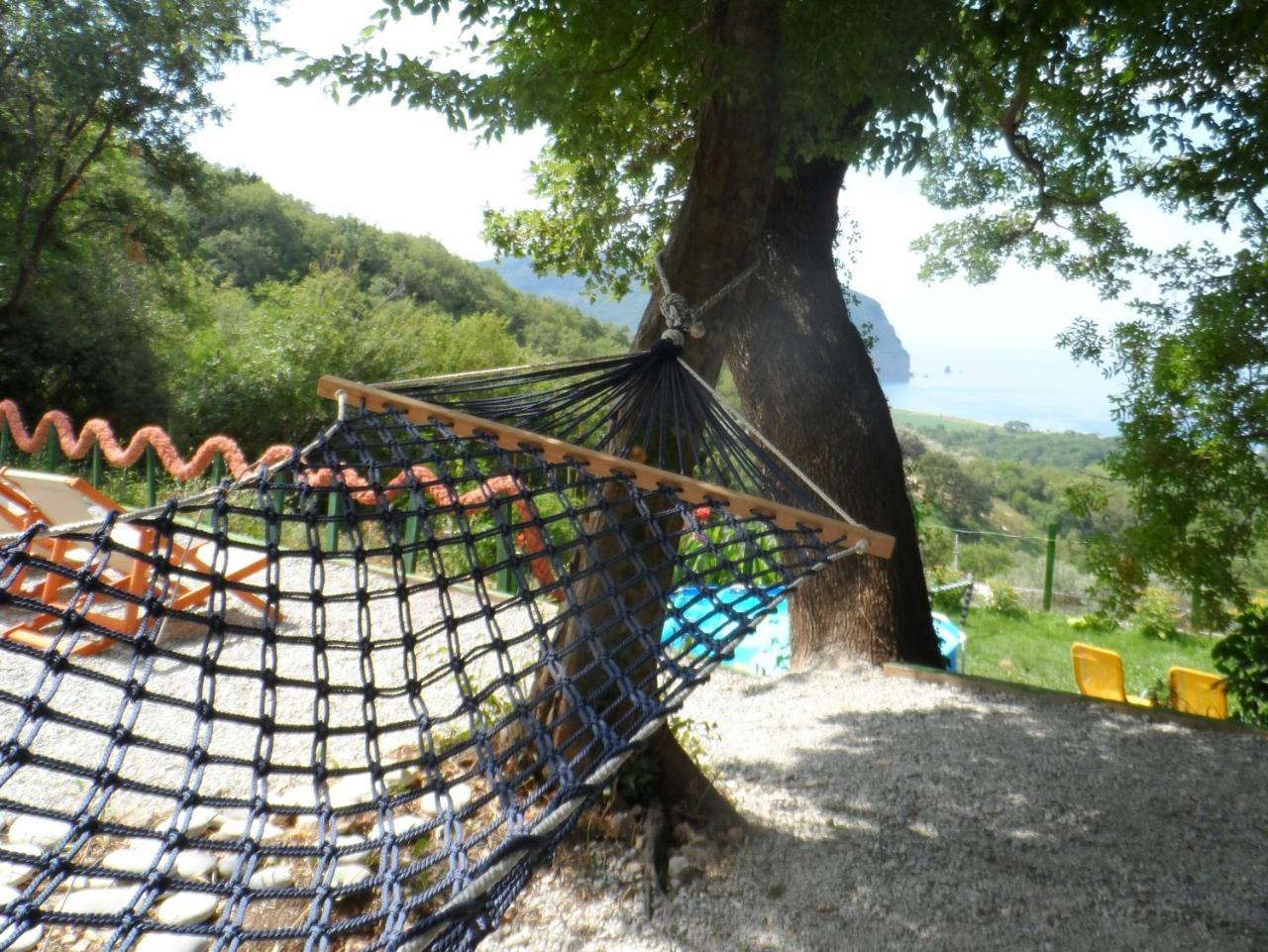 Pataki Guesthouse Petrovac المظهر الخارجي الصورة