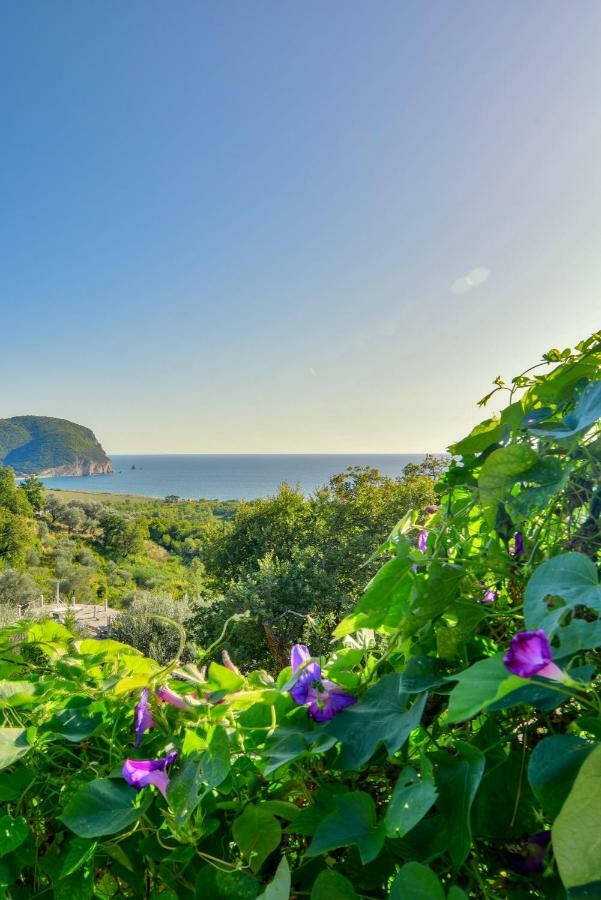 Pataki Guesthouse Petrovac المظهر الخارجي الصورة