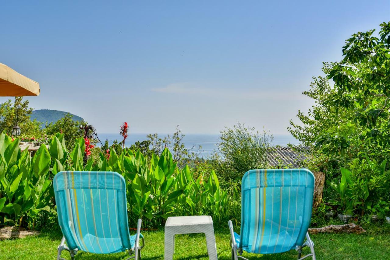 Pataki Guesthouse Petrovac المظهر الخارجي الصورة