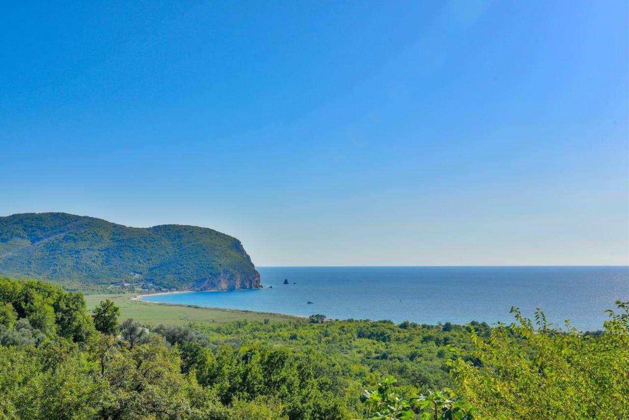 Pataki Guesthouse Petrovac المظهر الخارجي الصورة