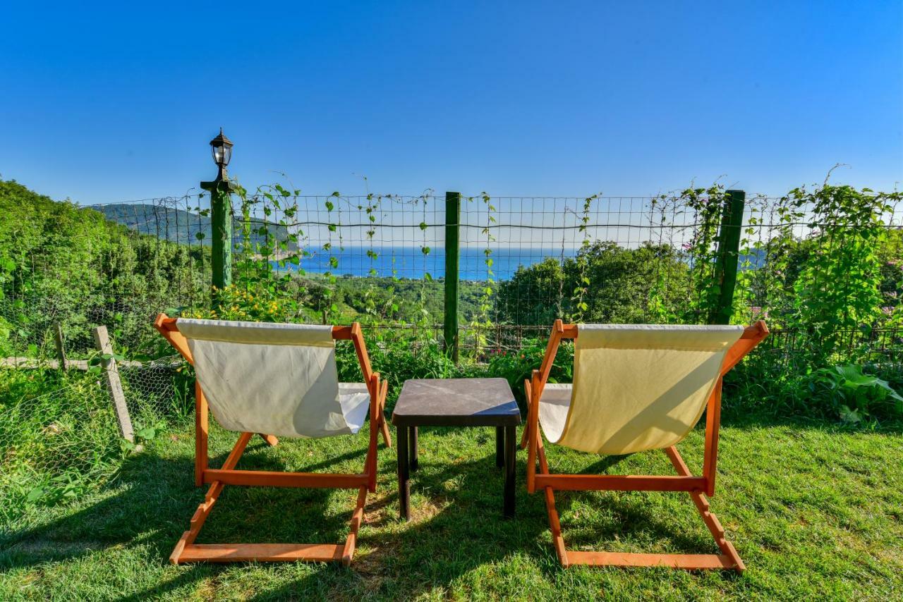 Pataki Guesthouse Petrovac المظهر الخارجي الصورة