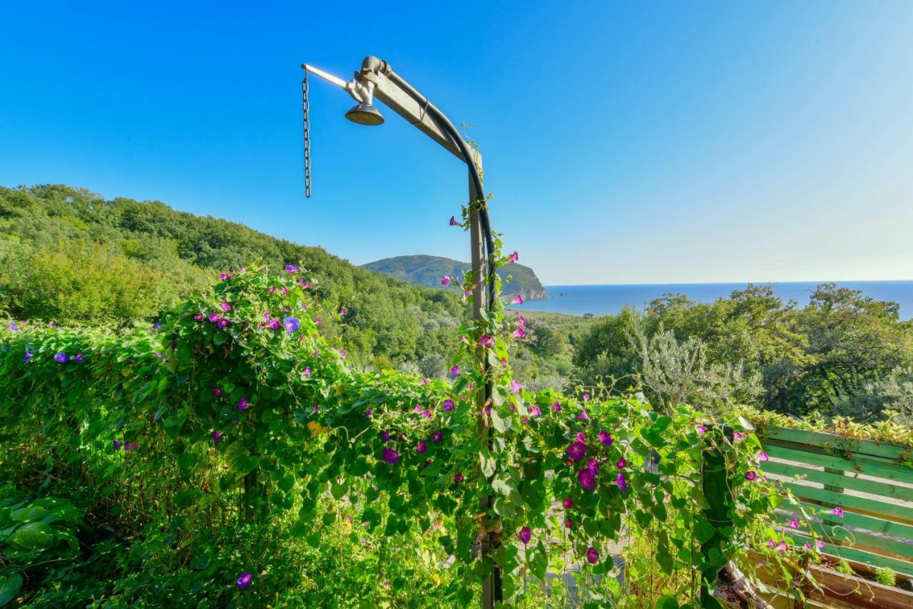 Pataki Guesthouse Petrovac المظهر الخارجي الصورة