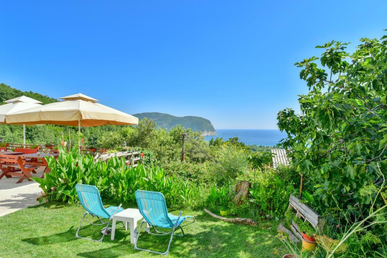 Pataki Guesthouse Petrovac المظهر الخارجي الصورة