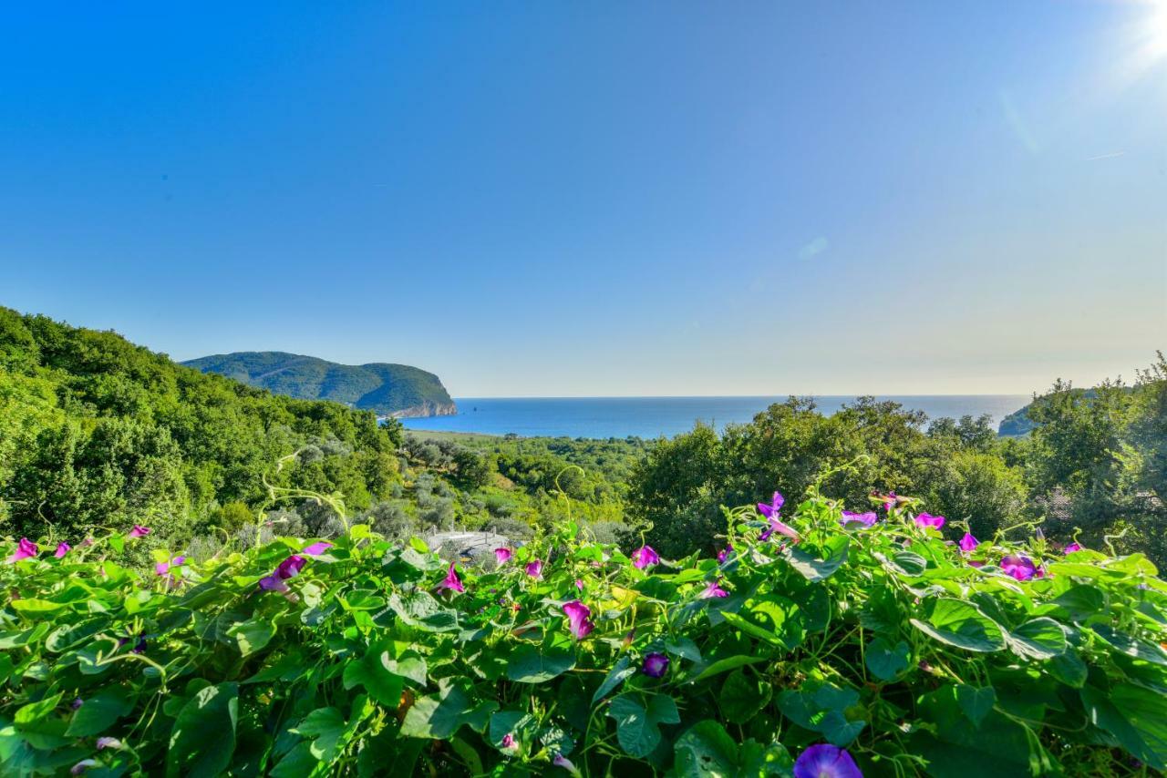 Pataki Guesthouse Petrovac المظهر الخارجي الصورة