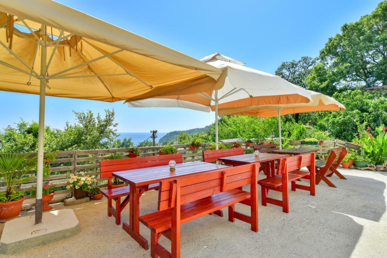 Pataki Guesthouse Petrovac المظهر الخارجي الصورة